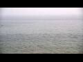 Webcam Algoma, Wisconsin