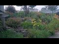 Webcam Algoma, Wisconsin