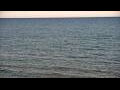 Webcam Algoma, Wisconsin