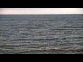 Webcam Algoma, Wisconsin