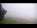Webcam Algoma, Wisconsin