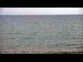 Webcam Algoma, Wisconsin