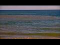 Webcam Algoma, Wisconsin