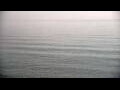Webcam Algoma, Wisconsin