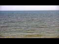 Webcam Algoma, Wisconsin
