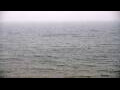 Webcam Algoma, Wisconsin