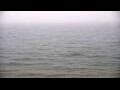 Webcam Algoma, Wisconsin
