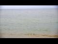 Webcam Algoma, Wisconsin