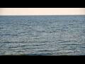 Webcam Algoma, Wisconsin