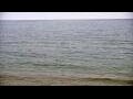 Webcam Algoma, Wisconsin