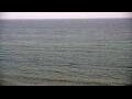 Webcam Algoma, Wisconsin