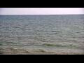 Webcam Algoma, Wisconsin