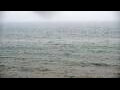 Webcam Algoma, Wisconsin