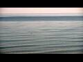 Webcam Algoma, Wisconsin