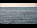 Webcam Algoma, Wisconsin