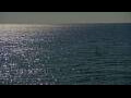 Webcam Algoma, Wisconsin