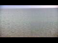 Webcam Algoma, Wisconsin