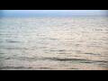 Webcam Algoma, Wisconsin
