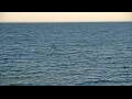Webcam Algoma, Wisconsin