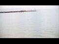 Webcam Algoma, Wisconsin