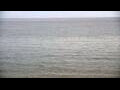 Webcam Algoma, Wisconsin