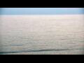 Webcam Algoma, Wisconsin