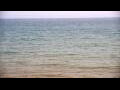 Webcam Algoma, Wisconsin