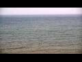 Webcam Algoma, Wisconsin