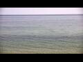 Webcam Algoma, Wisconsin