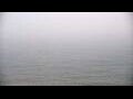 Webcam Algoma, Wisconsin