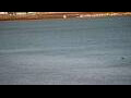 Webcam Algoma, Wisconsin
