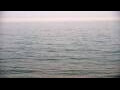 Webcam Algoma, Wisconsin