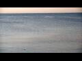 Webcam Algoma, Wisconsin