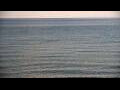 Webcam Algoma, Wisconsin
