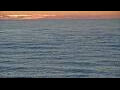 Webcam Algoma, Wisconsin
