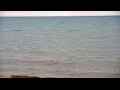 Webcam Algoma, Wisconsin