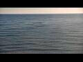 Webcam Algoma, Wisconsin