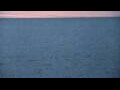 Webcam Algoma, Wisconsin
