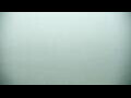 Webcam Algoma, Wisconsin