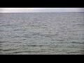 Webcam Algoma, Wisconsin