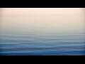 Webcam Algoma, Wisconsin