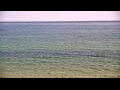 Webcam Algoma, Wisconsin