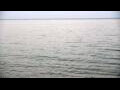 Webcam Algoma, Wisconsin