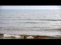 Webcam Algoma, Wisconsin