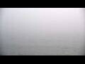 Webcam Algoma, Wisconsin