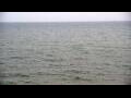Webcam Algoma, Wisconsin