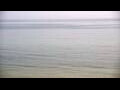 Webcam Algoma, Wisconsin