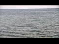 Webcam Algoma, Wisconsin