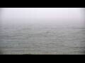 Webcam Algoma, Wisconsin