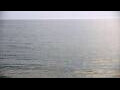 Webcam Algoma, Wisconsin
